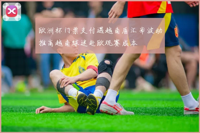 欧洲杯门票支付遇越南盾汇率波动推高越南球迷赴欧观赛成本